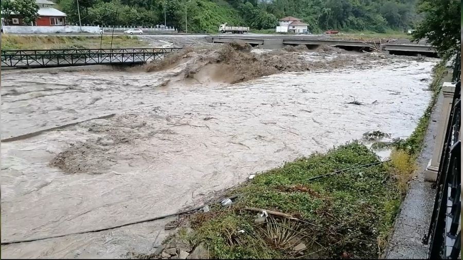 Bat Karadeniz diken stnde