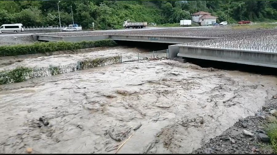 Bat Karadeniz diken stnde