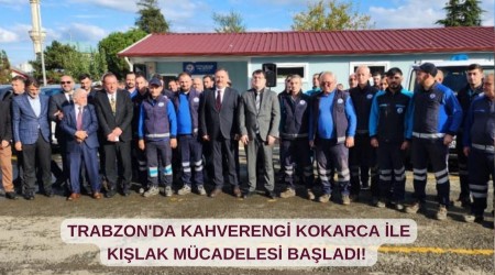 Trabzon'da kahverengi kokarca ile klak mcadelesi balad! "Fndk iin bunu yapmalyz"