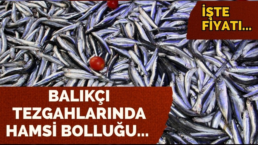 Balıkçı Tezgahlarında Hamsi Bolluğu... Fiyatı...