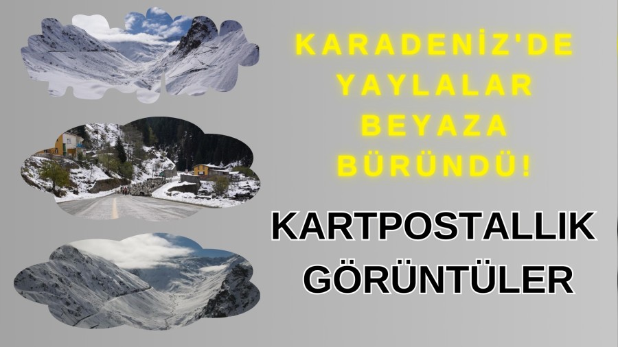 Karadeniz'de Yaylalar Beyaza Brnd! Kartpostallk Grntler