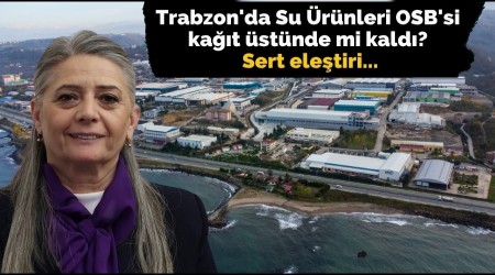 Trabzon'da Su rnleri OSB'si kat stnde mi kald?