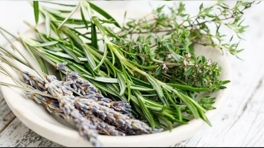 Akciğerleri Temizleyen Doğal Besinler