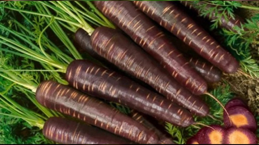 Akciğerleri Temizleyen Doğal Besinler