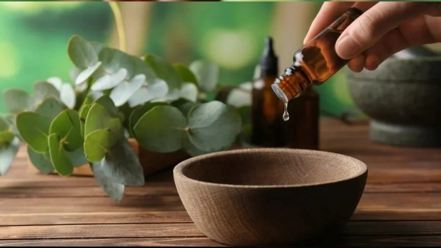 Akciğerleri Temizleyen Doğal Besinler