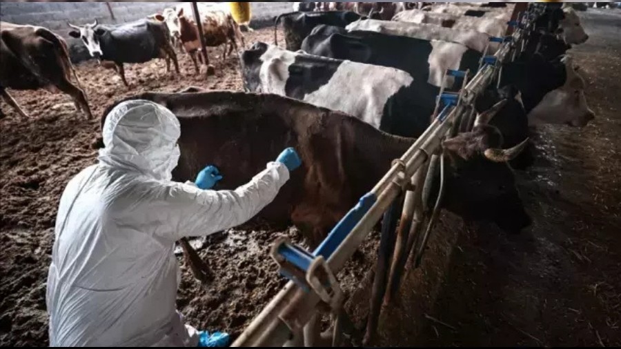 Bu Kez Marmara'da! O İlçe Karantinaya Alındı...