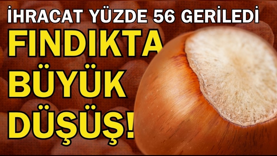Fındıkta Büyük Düşüş! İhracat Yüzde 56 Geriledi