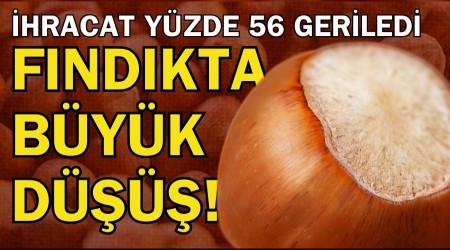 Fndkta Byk D! hracat Yzde 56 Geriledi