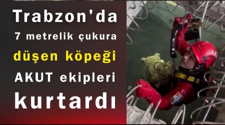 Trabzon'da 7 metrelik �ukura d��en k�pe�i AKUT ekipleri kurtard�