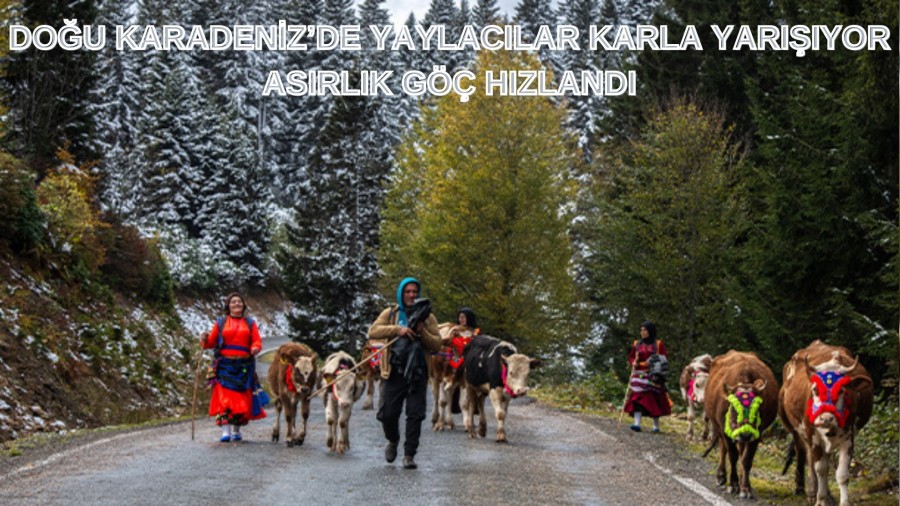 Dou Karadenizde yaylaclar karla yaryor: Asrlk g hzland