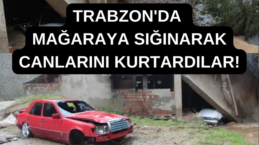 Trabzon'da Maaraya Snarak Canlarn Kurtardlar!