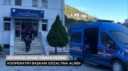 Artvin'de zinsiz Orman Kesimi! Kooperatifi Bakan Gzaltna Alnd