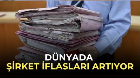D�nyada �irket iflaslar� art�yor