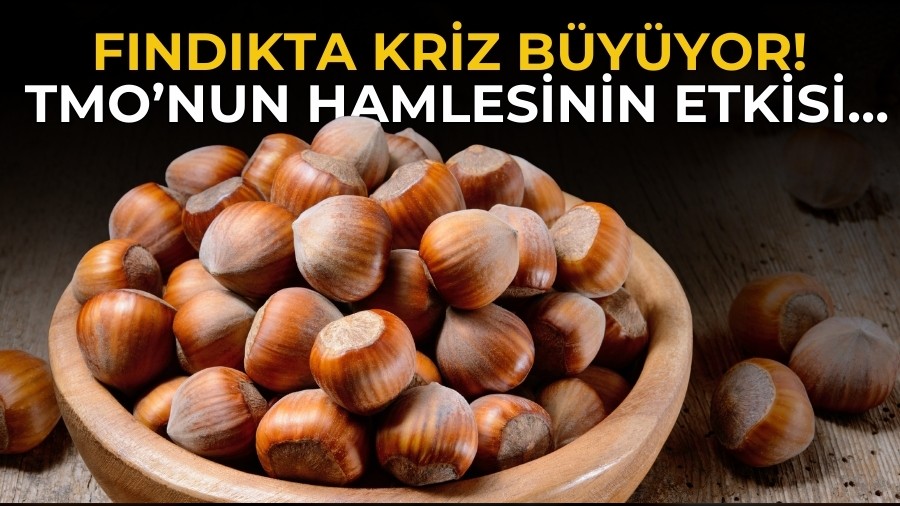 Fındıkta kriz büyüyor! TMO’nun hamlesinin etkisi…