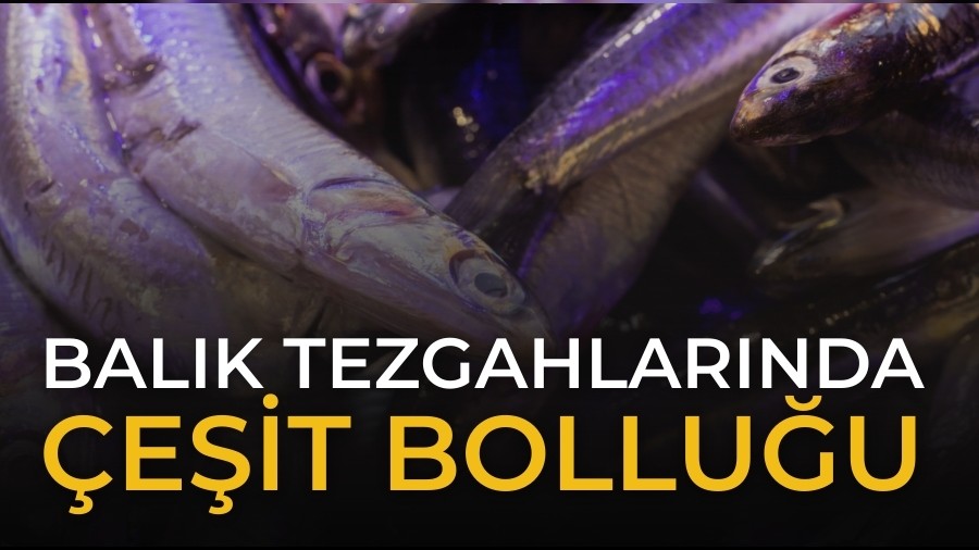 Bal�k Tezgahlar�nda �e�it Bollu�u