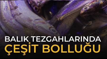 Bal�k Tezgahlar�nda �e�it Bollu�u