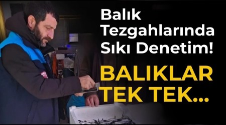 Balık Tezgahlarında Sıkı Denetim! Balıklar Tek Tek...