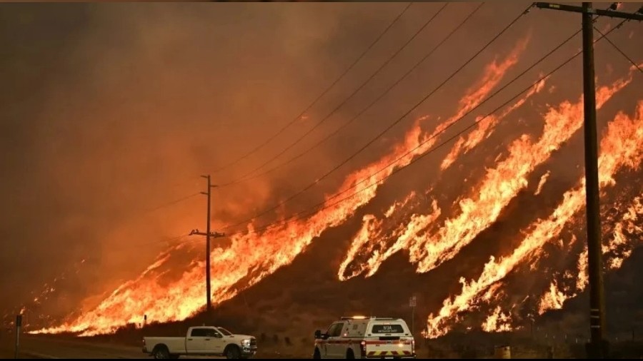 Los Angeles'ta Yeni Yangn