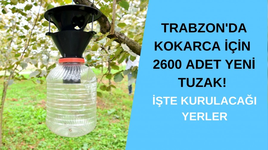 Trabzon'da Kokarca in 2600 Adet Yeni Tuzak!