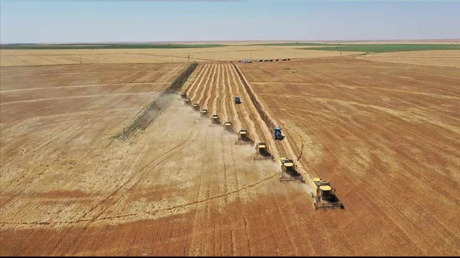 Ucuz G�da Hayal Oldu