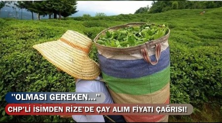 CHP'li simden Rize'de ay Alm Fiyat ars! "Olmas Gereken..."