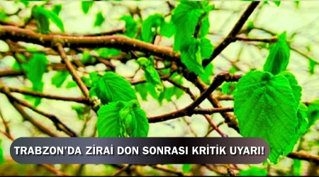 Trabzon'da Zirai Don Sonras Kritik Uyar!